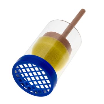 Königinnen Zeichenrohr