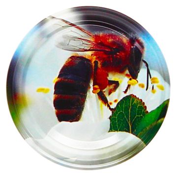 66er TO Deckel  Biene auf Kirschblüte