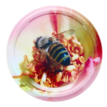 82er To Deckel Biene auf Rose