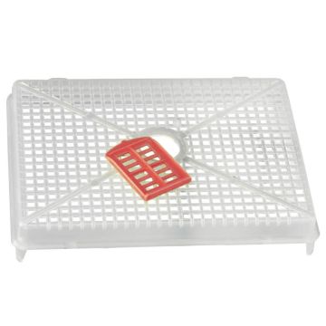 Schlüter Königinnen Zusetzgitter