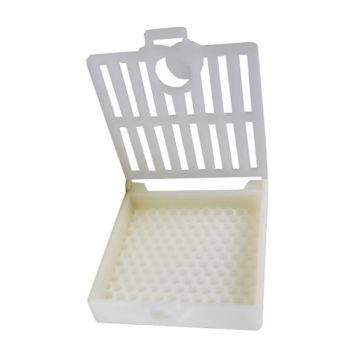 Königinnen-Brutstopp Scalvini