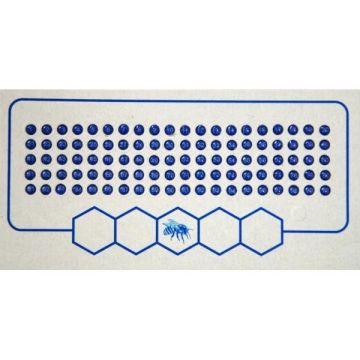 Leucht Opalith Zeichenplättchen blau